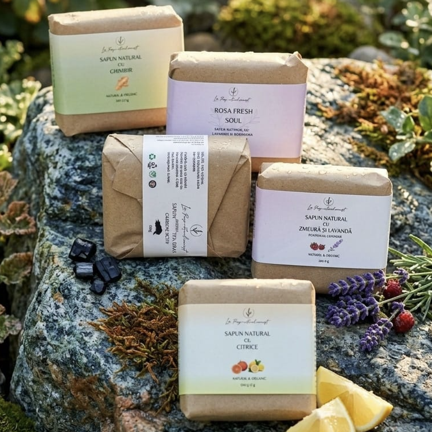 Set Esenta Naturii: Colecția Completă (5 săpunuri)